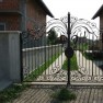 etnokov